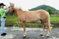 Izabela. Pro zv�t�en� klikn�te