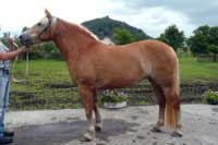 Ariela. Pro zv�t�en� klikn�te