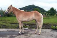 Aranka Obrock�. Pro zv�t�en� klikn�te