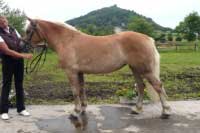 Nat�lka. Pro zv�t�en� klikn�te