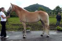 Campbella. Pro zv�t�en� klikn�te