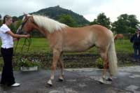 Cascade. Pro zv�t�en� klikn�te