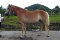 Arezza. Pro zv�t�en� klikn�te