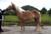 Olivia. Pro zv�t�en� klikn�te