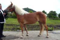 Ottina. Pro zv�t�en� klikn�te