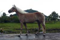 Sunflower. Pro zv�t�en� klikn�te