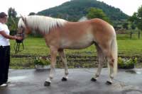 Cabina. Pro zv�t�en� klikn�te