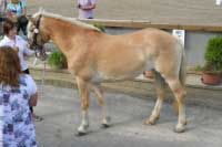 Sanny. Pro zv�t�en� klikn�te