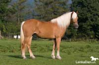 Quebec. Pro zv�t�en� klikn�te