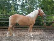 Sahara. Pro zv�t�en� klikn�te