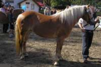 Veronika. Pro zv�t�en� klikn�te