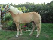 Gerta. Pro zv�t�en� klikn�te