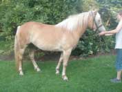 Bianca. Pro zv�t�en� klikn�te