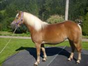 Bay. Pro zv�t�en� klikn�te