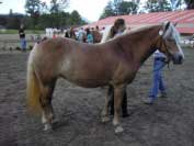 Cirny. Pro zv�t�en� klikn�te