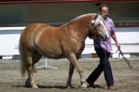 Greisy. Pro zv�t�en� klikn�te