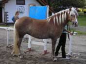 Linett. Pro zv�t�en� klikn�te