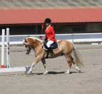 Tereza Sirotov� s Naloonem - Drezura. Pro zv�t�en� klikn�te