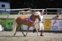 V�t�z t��dy plemenn�ch h�ebc� a �ampion v�stavy - Ahnherr. Pro zv�t�en� klikn�te