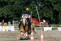 Tereza Sirotov� s valachem Naloonem - Pole Bending. Pro zv�t�en� klikn�te