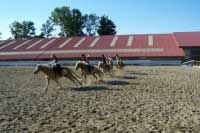 Z�v�re�n� dostih. Pro zv�t�en� klikn�te