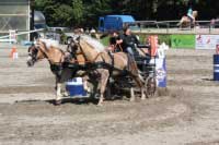 Josef �ivn��ek ml. s valachy Zaf�rem a Zoranem - vozatajsk� parkur. Pro zv�t�en� klikn�te