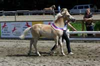 Aristo Fly - V�t�z h��bat. Pro zv�t�en� klikn�te