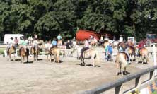 Sout��c� ve westernov�ch discipl�n�ch. Pro zv�t�en� klikn�te