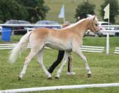 Andromeda � v�t�zka ro�n�ch h��bat. Pro zv�t�en� klikn�te