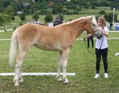 Maraja � 2. m�sto ro�n�ch h��bat. Pro zv�t�en� klikn�te