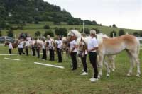 Kolekce ro�n�ch h��bat. Pro zv�t�en� klikn�te