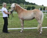 Segunda � 3. m�sto dvoulet�ch. Pro zv�t�en� klikn�te