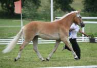 Cabina � 3. m�sto - Klisny 3 � 6 let bez h��bat. Pro zv�t�en� klikn�te