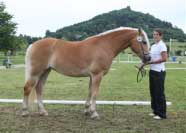 Netka � v�t�zka t��dy � Klisny 7 let a star��. Pro zv�t�en� klikn�te