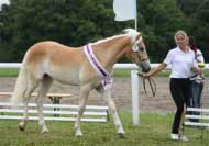 Andromeda � v�t�zka �ampionu mlad�ch. Pro zv�t�en� klikn�te