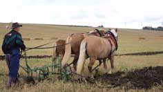 Franti�ek Dobrovoln� se sv�mi klisnami. Pro zv�t�en� klikn�te