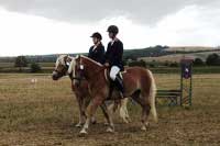 Klisna Gina a valach Amis. Pro zv�t�en� klikn�te