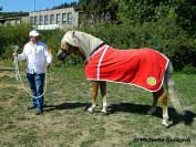 �ampion v�stavy Aquavit I. Pro zv�t�en� klikn�te