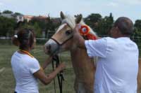 V�t�z mezi h�ebe�ky, Amaranth. Pro zv�t�en� klikn�te