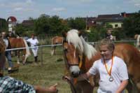 Val�ek Amis. Pro zv�t�en� klikn�te