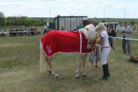 �ampionka v�stavy, Calera. Pro zv�t�en� klikn�te