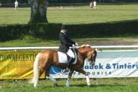 Pavel Li�ka a St-Monty p�i lo�sk�m vystoupen� v Pardubic�ch. Pro zv�t�en� klikn�te