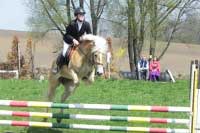 Dominika Nevolov� bude startovat s Calerou v drezu�e i skoc�ch. Pro zv�t�en� klikn�te