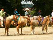 Dekorov�n� jezdc� v kombinovan� otev�en� sout�i (pleasure + trail) -  zprava Nina Gludowatz s Chickadee, Kate�ina D�d�kov� s Reinou Mary, Miriam Haas s Nothing�s Nabrasco. Pro zv�t�en� klikn�te