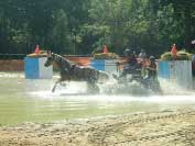 Ve t�icetistup�ov�m horku svla�en� p�i�lo vhod. Pro zv�t�en� klikn�te