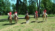 Dvojice reprezentuj�c� �R � zleva Martina Studni�kov� s Emmeli, Dominika Nevolov� s Calerou, Pavel Li�ka s ST-Montym, Katka D�d�kov� s Reinou Mary a Mark�ta Pet���kov� s Leont�nkou. Pro zv�t�en� klikn�te