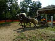 P�i marat�nu nejeden p��sed�c� vypadl. Pro zv�t�en� klikn�te