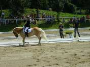 Dominika Nevolov� p�i drezurn� �loze s Calerou. Pro zv�t�en� klikn�te