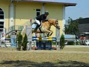 Prvn�m rokem z�vod�c� Leont�nka v sedle s Mark�tou skon�ila v parkuru celkov� p�t�. Pro zv�t�en� klikn�te