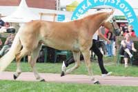 Campbella. Pro zv�t�en� klikn�te